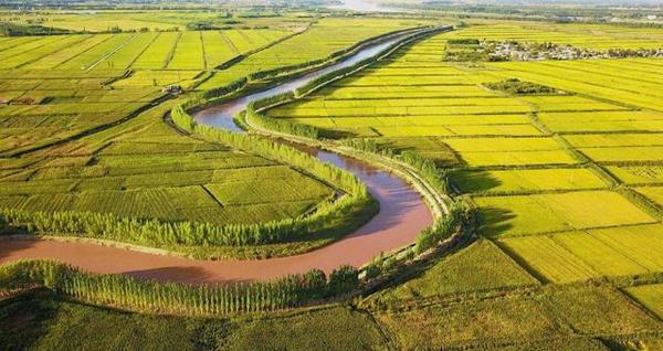 引黄灌溉水利信息化工程